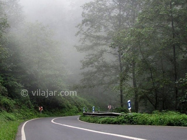 عکس شماره 7 - دریاچه قو در جواهرده