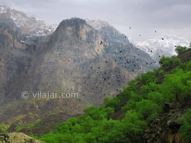 عکس شماره 9 - دره عشق شهرکرد