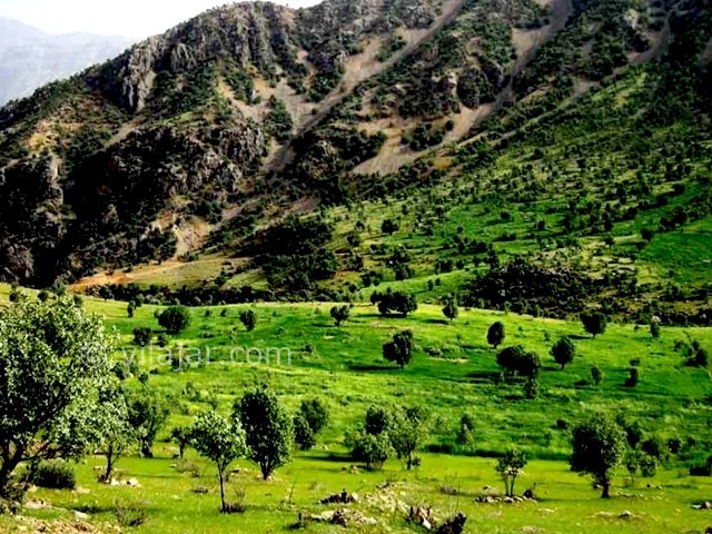 عکس شماره 16 - دره عشق شهرکرد