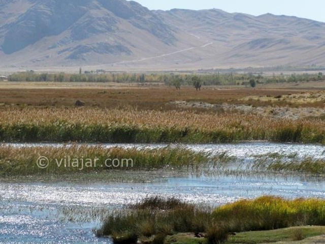 عکس شماره 7 - تالاب گندمان بروجن