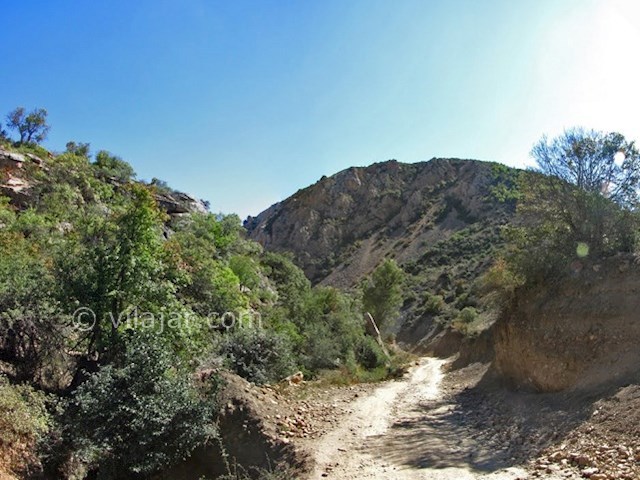 عکس شماره 29 - چشمه های باداب سورت