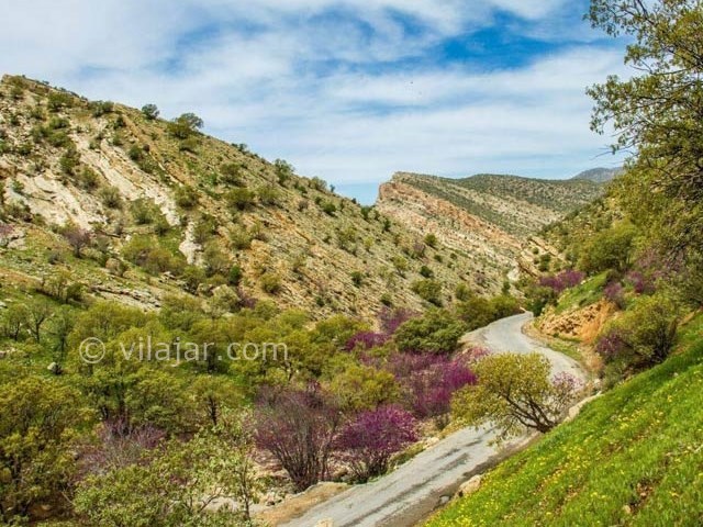 عکس شماره 4 - دره ارغوان ایلام