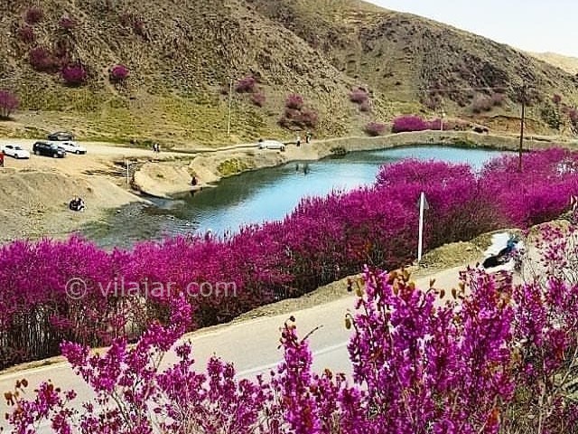 عکس شماره 5 - دره ارغوان ایلام