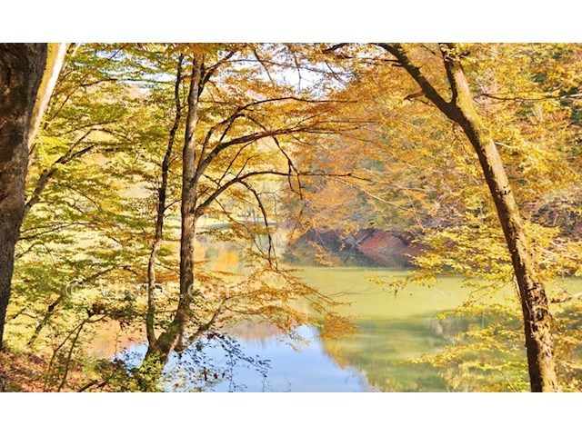 عکس شماره 6 - دریاچه چورت (میانشه) مازندران