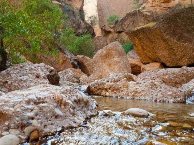 عکس شماره 4 - دره توبیرون دزفول