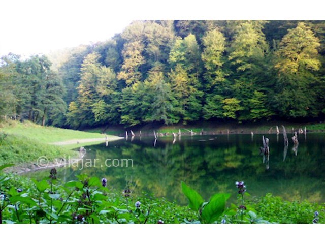 عکس شماره 7 - دریاچه چورت (میانشه) مازندران