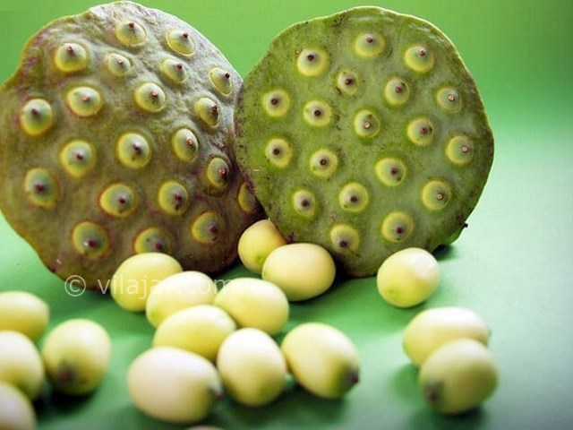 عکس شماره 8 - تالاب بین المللی امیر کلایه