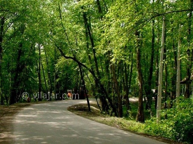 عکس شماره 4 - پارک جنگلی نور