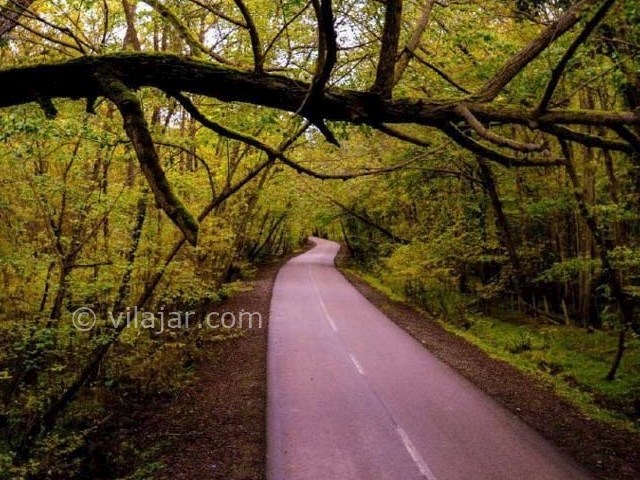 عکس شماره 5 - پارک جنگلی نور