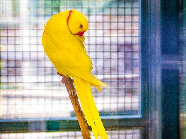 عکس شماره 4 - پارک ساعی تهران