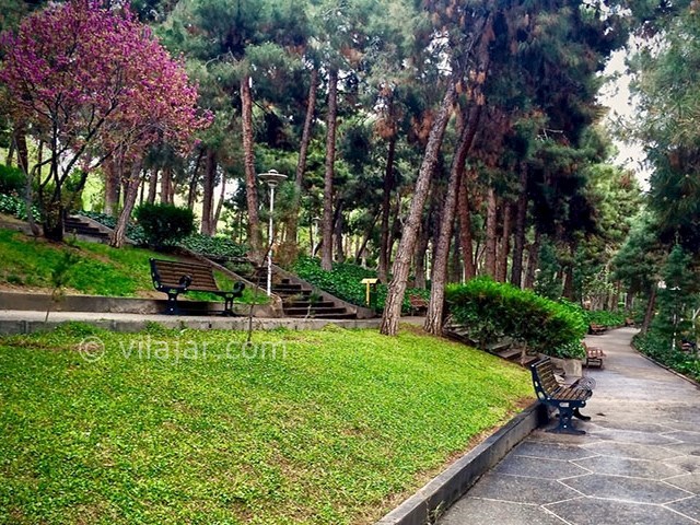 عکس شماره 5 - پارک ساعی تهران