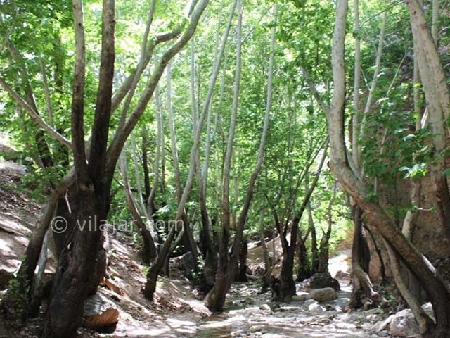 عکس شماره 6 - تنگ گنجه ای یاسوج