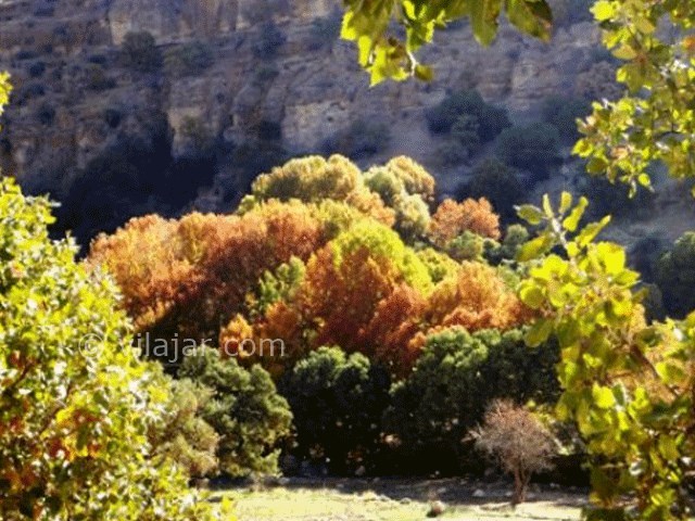 عکس شماره 7 - تنگ گنجه ای یاسوج