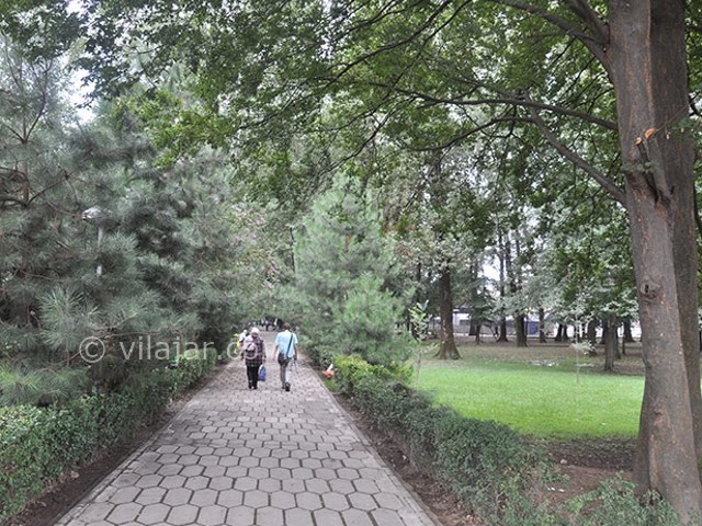 عکس شماره 9 - پارک ملت رشت