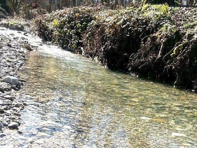 عکس شماره 3 - پارک جنگلی کشپل نور