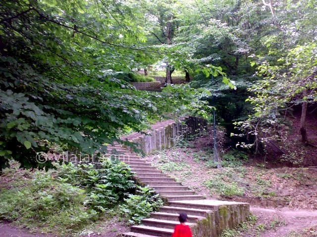 عکس شماره 4 - پارک جنگلی کشپل نور