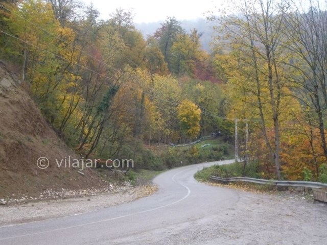 عکس شماره 5 - پارک جنگلی کشپل نور