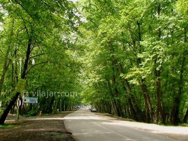 عکس شماره 6 - پارک جنگلی کشپل نور