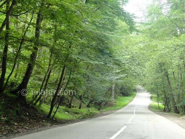 عکس شماره 8 - پارک جنگلی کشپل نور