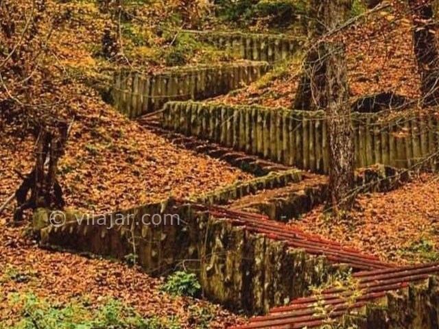 عکس شماره 9 - پارک جنگلی کشپل نور