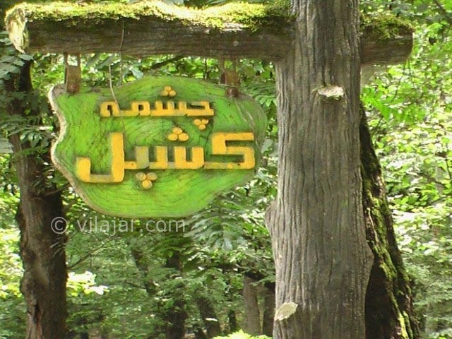 عکس شماره 10 - پارک جنگلی کشپل نور
