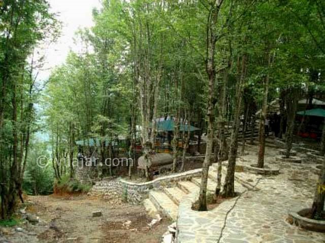 عکس شماره 11 - پارک جنگلی کشپل نور