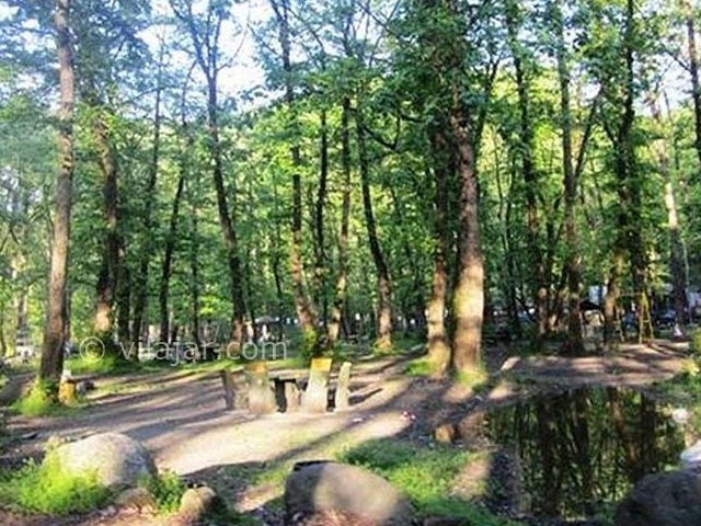 عکس شماره 7 - پارک جنگلی فین چالوس