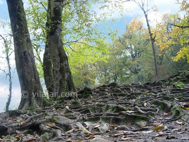 عکس شماره 6 - آبشار ویسادار