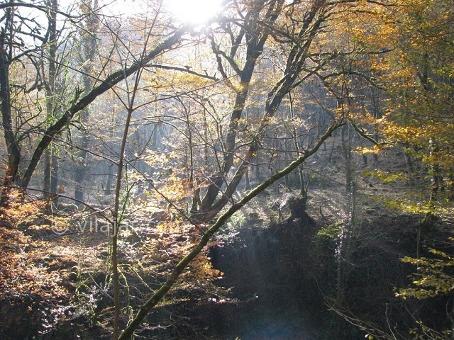 عکس شماره 7 - آبشار ویسادار