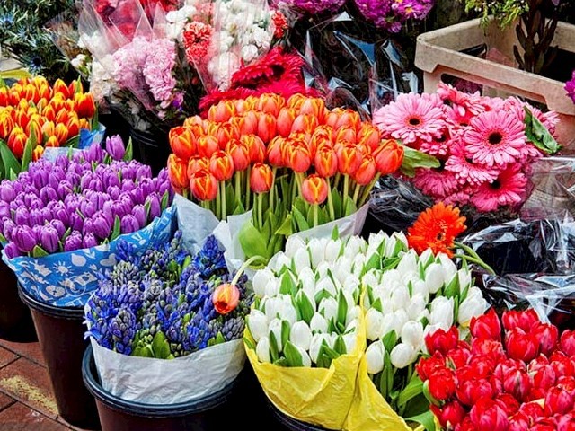 عکس شماره 3 - جشن نوروز