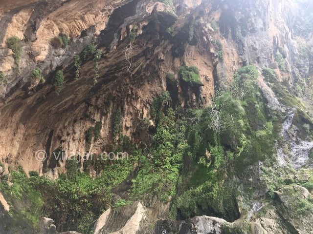 عکس شماره 5 - تنگه بهرام چوبین ایلام