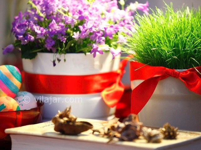 عکس شماره 7 - جشن نوروز