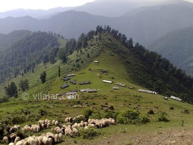 عکس شماره 4 - ییلاق النزه شاندرمن