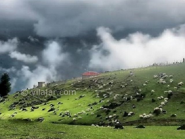 عکس شماره 9 - ییلاق النزه شاندرمن