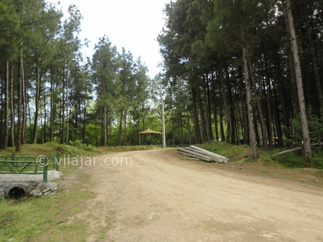 عکس شماره 4 - پارک جنگلی بی بی یانلو آستارا