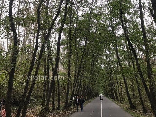 عکس شماره 3 - پارک جنگلی صفرابسته