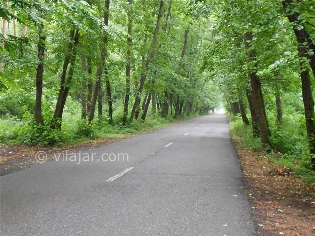 عکس شماره 4 - پارک جنگلی صفرابسته