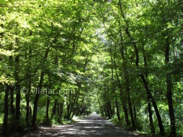عکس شماره 5 - پارک جنگلی صفرابسته