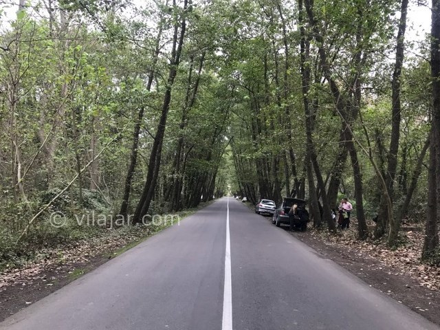 عکس شماره 6 - پارک جنگلی صفرابسته