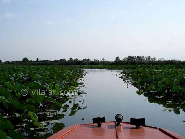 عکس شماره 3 - تالاب سرخانکل انزلی