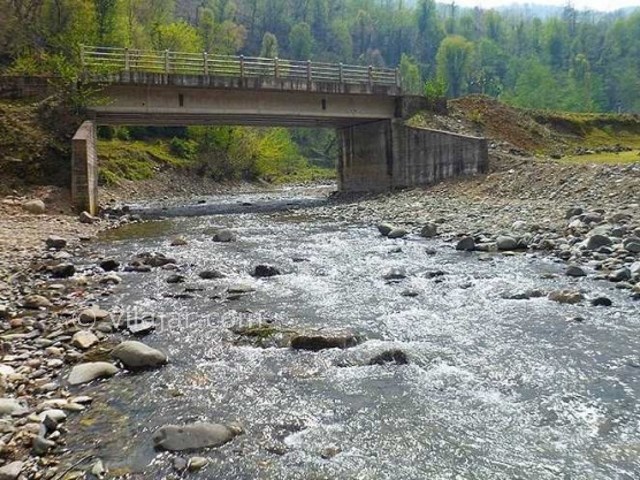 عکس شماره 3 - روستا و پارک جنگلی خرما لنگرود