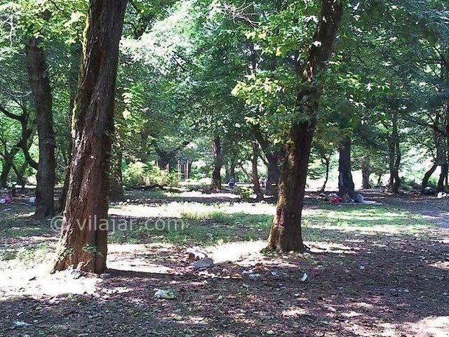 عکس شماره 4 - روستا و پارک جنگلی خرما لنگرود