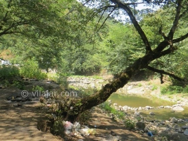 عکس شماره 5 - روستا و پارک جنگلی خرما لنگرود