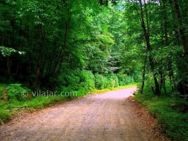 عکس شماره 6 - روستا و پارک جنگلی خرما لنگرود