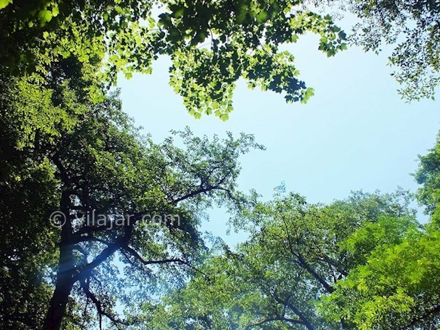 عکس شماره 23 - آبشار ویسادار