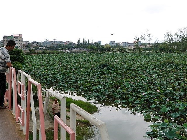 عکس شماره 11 - تالاب کیاکلایه