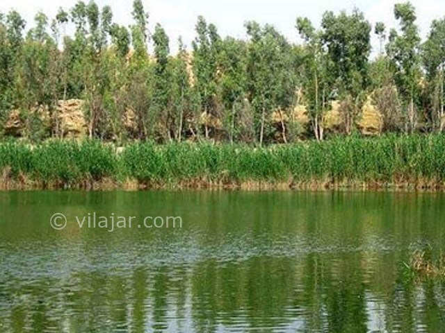 عکس شماره 12 - تالاب کیاکلایه