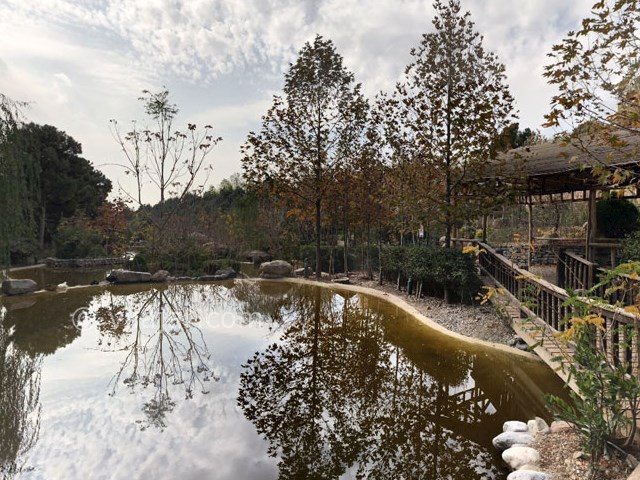 عکس شماره 3 - پارک جنگلی لویزان در تهران