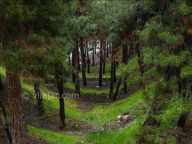 عکس شماره 5 - پارک جنگلی لویزان در تهران