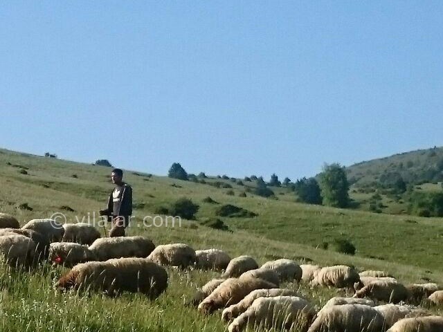 عکس شماره 5 - منطقه عمارلو رودبار